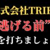 【解決】株式会社TRIBEの副業詐欺『RISE UP』から返金させる方法(0345008892)